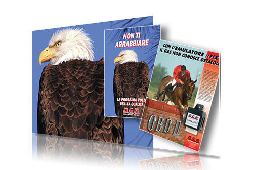 Settore Accessori Auto